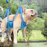 Maxbell Dog Grooming Hammock Pet Grooming Harness for Bathing Nail Trimming L Blue