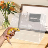 Maxbell Reptile Breeding Box Transparent Snake Breeding Box for Snake Frogs Scorpion L