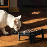 Maxbell Elevated Dog Bowl Pet Supplies Stable Base 15° Tilted for Kittens Cats Puppy black