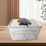 Maxbell Small Turtle Tank Versatile Terrapin Breeding Box for Turtles Crabs Crayfish White