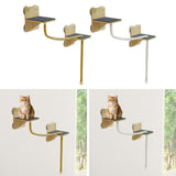 Maxbell Cat Wall Shelves Accessories Cat Climbing Shelf for Resting Playing Climbing Hemp Rope