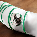 Maxbell Cat Tunnel Tube Exercise Cat Interactive Toy for Small Animals Bunny Bunny S Shaped Green