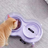 Maxbell Elevated Cat Bowls Food and Water Bowl Set for Kittens Travel Indoor Outdoor Purple