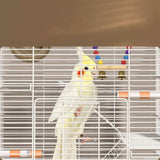 Maxbell Metal Bird Cage Play Cage Tabletop Parrot Cage for Ringneck Parrots Lovebird