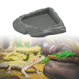 Maxbell Reptile Feeding Dish Corner Decor for Semi Aquatic Bearded Dragons Chameleon gray