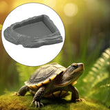Maxbell Reptile Feeding Dish Corner Decor for Semi Aquatic Bearded Dragons Chameleon gray