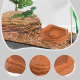 Maxbell Reptile Feeder Bowl Terrarium Accessories Food Dish for Gecko Snake Tortoise Brown