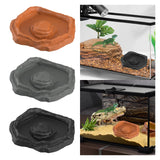 Maxbell Reptile Feeder Bowl Terrarium Accessories Food Dish for Gecko Snake Tortoise Brown