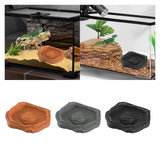 Maxbell Reptile Feeder Bowl Terrarium Accessories Food Dish for Gecko Snake Tortoise Brown