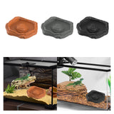 Maxbell Reptile Feeder Bowl Terrarium Accessories Food Dish for Gecko Snake Tortoise Brown