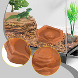 Maxbell Reptile Feeder Bowl Terrarium Accessories Food Dish for Gecko Snake Tortoise Brown