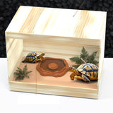 Maxbell Reptile Feeder Bowl Terrarium Accessories Food Dish for Gecko Snake Tortoise Brown