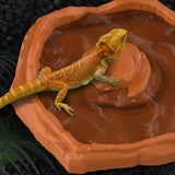 Maxbell Reptile Feeder Bowl Terrarium Accessories Food Dish for Gecko Snake Tortoise Brown