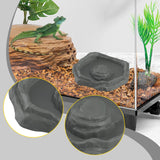 Maxbell Reptile Feeder Bowl Terrarium Accessories Food Dish for Gecko Snake Tortoise Gray