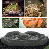 Maxbell Reptile Feeder Bowl Terrarium Accessories Food Dish for Gecko Snake Tortoise Gray