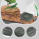 Maxbell Reptile Feeder Bowl Terrarium Accessories Food Dish for Gecko Snake Tortoise Gray