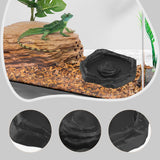 Maxbell Reptile Feeder Bowl Terrarium Accessories Food Dish for Gecko Snake Tortoise Black