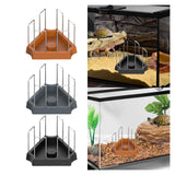 Maxbell Tortoise Feeding Dish Small Turtle Food Bowl for Bearded Dragon Semi Aquatic Brown