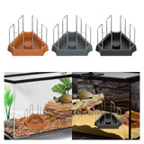 Maxbell Tortoise Feeding Dish Small Turtle Food Bowl for Bearded Dragon Semi Aquatic Brown