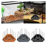 Maxbell Tortoise Feeding Dish Small Turtle Food Bowl for Bearded Dragon Semi Aquatic Brown