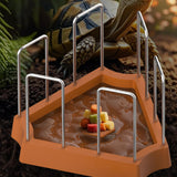 Maxbell Tortoise Feeding Dish Small Turtle Food Bowl for Bearded Dragon Semi Aquatic Brown