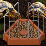 Maxbell Tortoise Feeding Dish Small Turtle Food Bowl for Bearded Dragon Semi Aquatic Brown