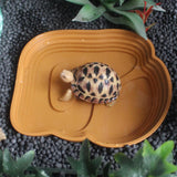 Maxbell Reptile Water Dish Tortoise Water Bath Bowl for Terrapin Tortoises Terrapins Light Brown