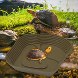 Maxbell Reptile Water Dish Tortoise Water Bath Bowl for Terrapin Tortoises Terrapins coffee