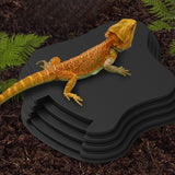 Maxbell Reptile Food Water Bowl with Ramp Turtle Bathing Pool for Turtle Snake Gecko Black