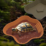 Maxbell Reptile Food Water Bowl with Ramp Turtle Bathing Pool for Turtle Snake Gecko Dark Green
