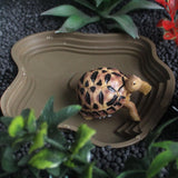 Maxbell Reptile Food Water Bowl with Ramp Turtle Bathing Pool for Turtle Snake Gecko Dark Green