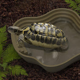 Maxbell Reptile Food Water Bowl with Ramp Turtle Bathing Pool for Turtle Snake Gecko Dark Green