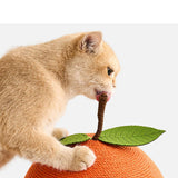 Maxbell Sisal Covered Scratching Post Fun Cat Scratcher for Kittens Indoor Cats Play Orange
