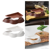Maxbell Reptile Water Dish with Ramps Food Feeding Bowl for Chameleon Snake Tortoise Brown