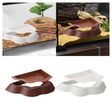 Maxbell Reptile Water Dish with Ramps Food Feeding Bowl for Chameleon Snake Tortoise Brown
