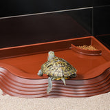 Maxbell Reptile Water Dish with Ramps Food Feeding Bowl for Chameleon Snake Tortoise Brown
