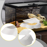 Maxbell Reptile Water Dish with Ramps Food Feeding Bowl for Chameleon Snake Tortoise White