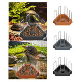 Maxbell Tortoise Feeding Dish Weighted Base Turtle Food Bowl for Chameleon Crawl Pet Light Brown