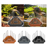 Maxbell Tortoise Feeding Dish Weighted Base Turtle Food Bowl for Chameleon Crawl Pet Light Brown