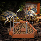 Maxbell Tortoise Feeding Dish Weighted Base Turtle Food Bowl for Chameleon Crawl Pet Light Brown