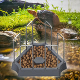 Maxbell Tortoise Feeding Dish Weighted Base Turtle Food Bowl for Chameleon Crawl Pet Gray