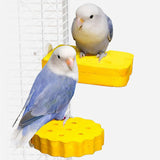 Maxbell Bird Perch Stand Toy Decorative Cage Accessories for Conure Cockatoo Budgies Round