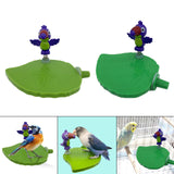 Maxbell Bird Playground Tray Swing Bird Exercise Perch for Conure Decoration Canarie Light Green