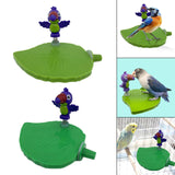 Maxbell Bird Playground Tray Swing Bird Exercise Perch for Conure Decoration Canarie Light Green
