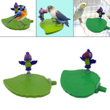 Maxbell Bird Playground Tray Swing Bird Exercise Perch for Conure Decoration Canarie Light Green