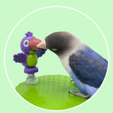 Maxbell Bird Playground Tray Swing Bird Exercise Perch for Conure Decoration Canarie Light Green