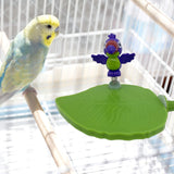 Maxbell Bird Playground Tray Swing Bird Exercise Perch for Conure Decoration Canarie Light Green