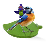 Maxbell Bird Playground Tray Swing Bird Exercise Perch for Conure Decoration Canarie Light Green