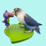 Maxbell Bird Playground Tray Swing Bird Exercise Perch for Conure Decoration Canarie Light Green