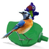 Maxbell Bird Playground Tray Swing Bird Exercise Perch for Conure Decoration Canarie Deep Green